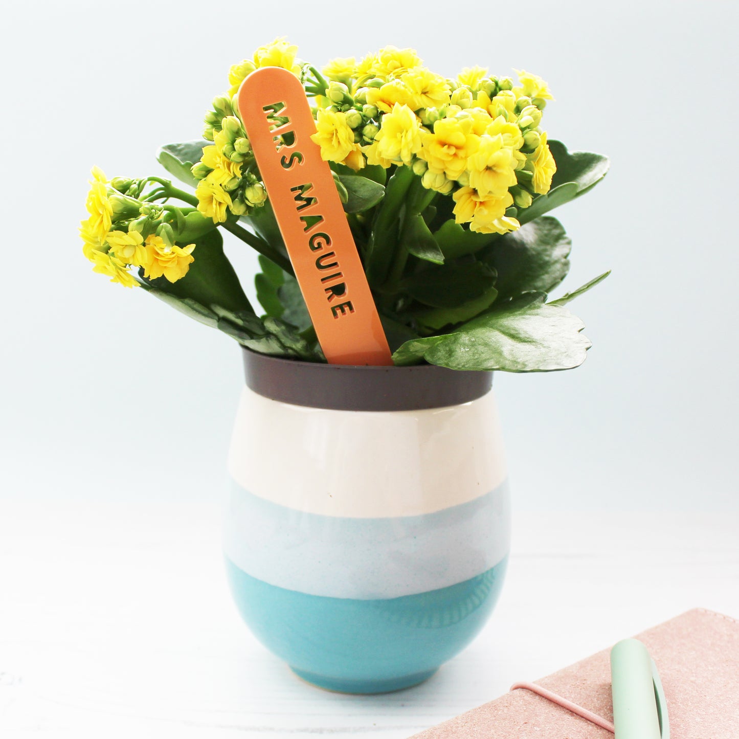 Teacher Gift Personalised Plant Marker