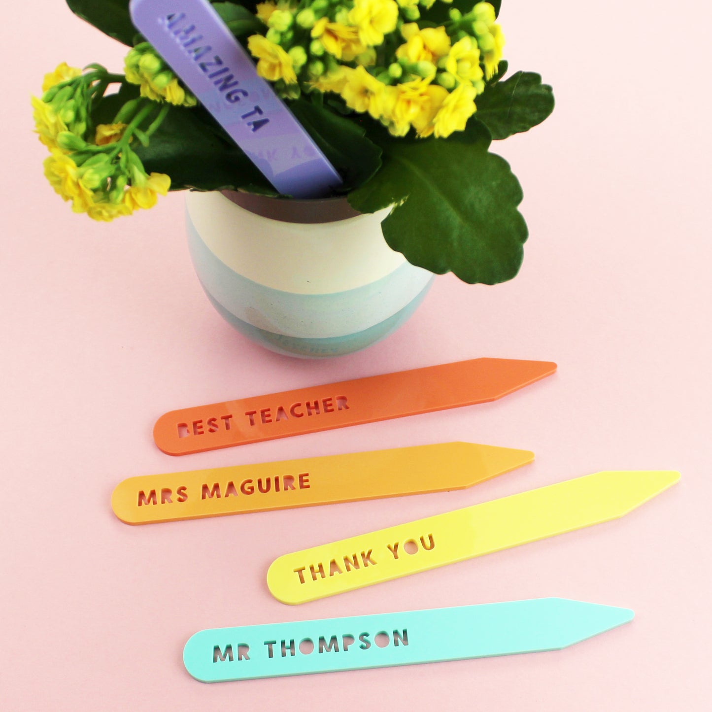 Teacher Gift Personalised Plant Marker
