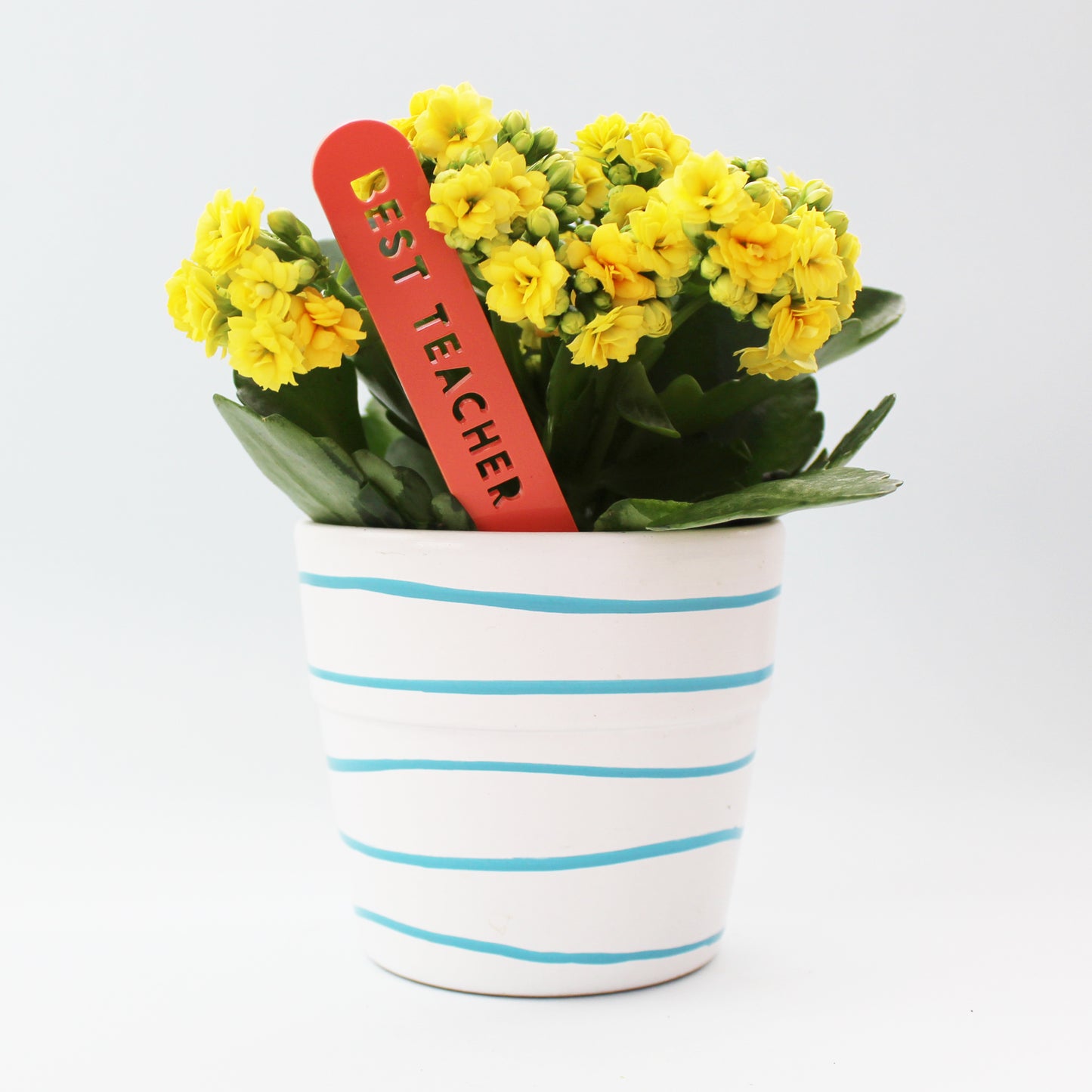 Teacher Gift Personalised Plant Marker