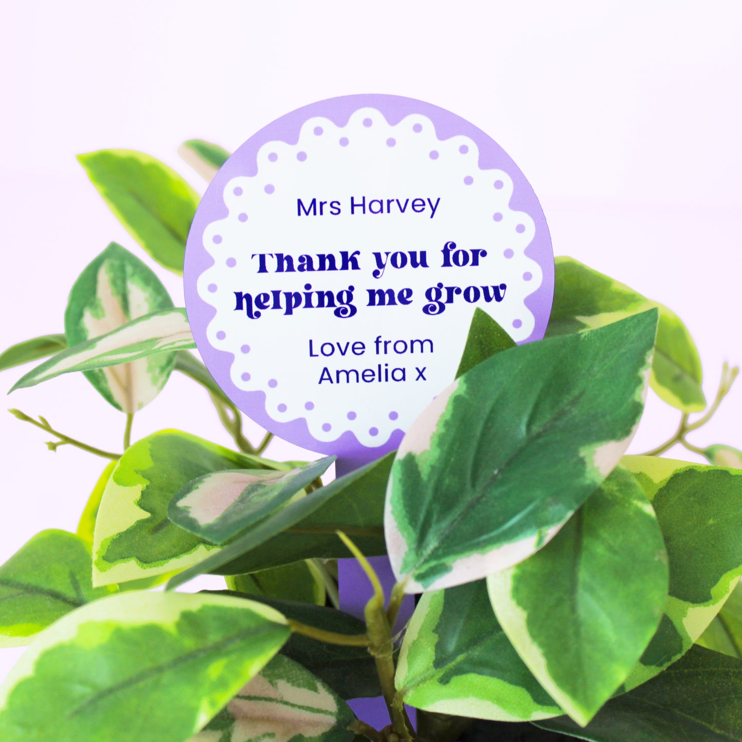 Thank You For Helping Me Grow Plant Marker
