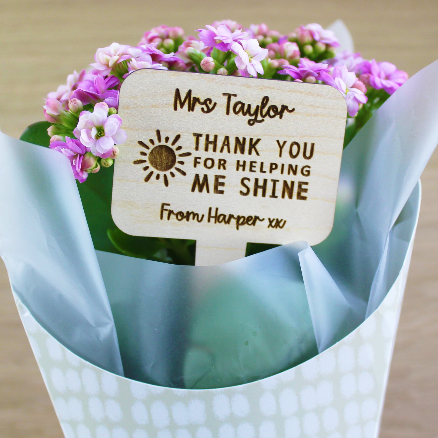 Thank You For Helping Me Shine Teacher Plant Marker