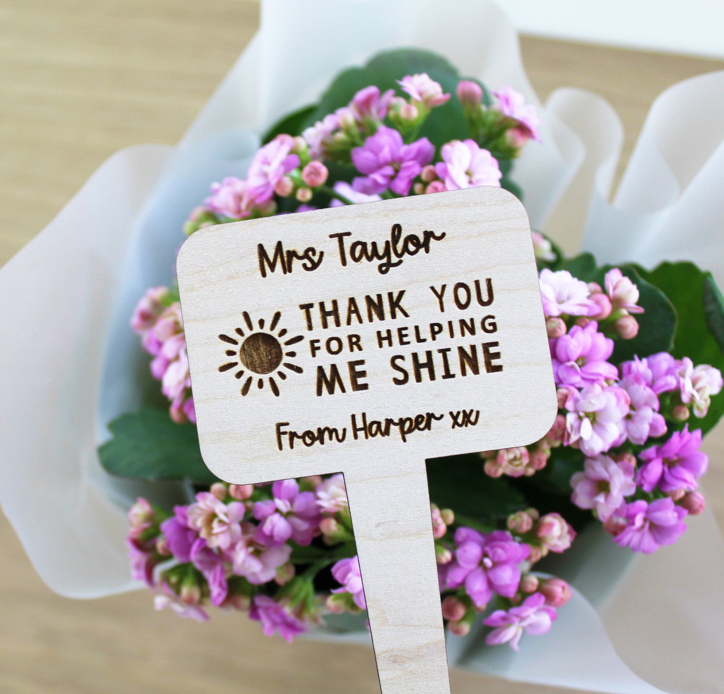 Thank You For Helping Me Shine Teacher Plant Marker