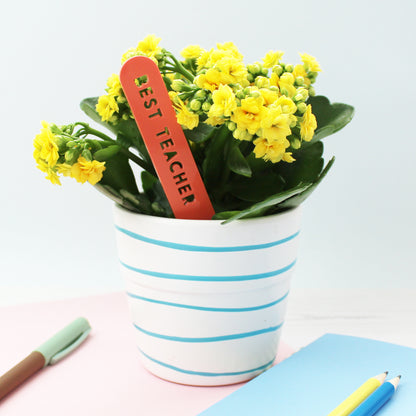 Teacher Gift Personalised Plant Marker
